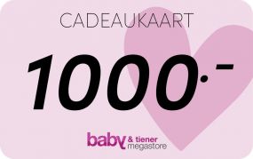 Baby & Tiener Megastore Cadeaubon 1000 Euro