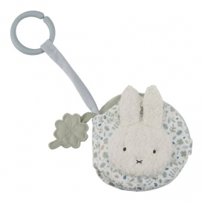 Nijntje Buggyboekje Lucky Blossom 