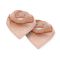 Jollein Bandana Slabbetjes 2 Stuks Snake Pale Pink Jollein Bandana Slabbetjes 2 Stuks Snake Pale Pink
