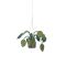 KidsDepot Hangplant Big Leaves KidsDepot Hangplant Big Leaves