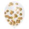 Confetti Ballonnen Goud 30 cm 5 Stuks