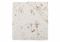 Jollein Hoeslaken Jersey 70/75x140/150cm Tiny Park