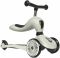 Scoot and Ride 2-in-1 Highwaykick Ash