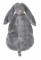 Happy Horse Rabbit Richie Deep Grey Tuttle