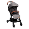 Little Dutch Buggy Comfort Grey