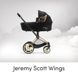 Cybex Wings