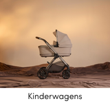 Silver Cross kinderwagen